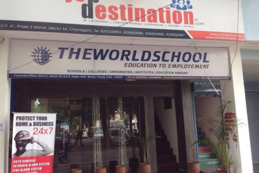 The World Institute
