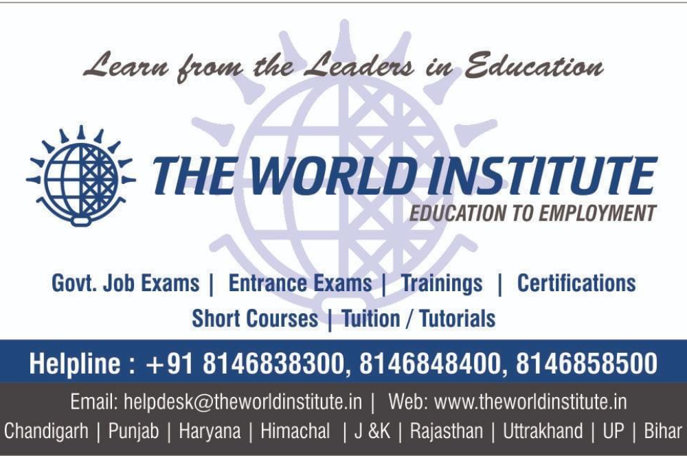 The World Institute