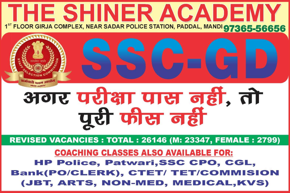 The Shiner Academy